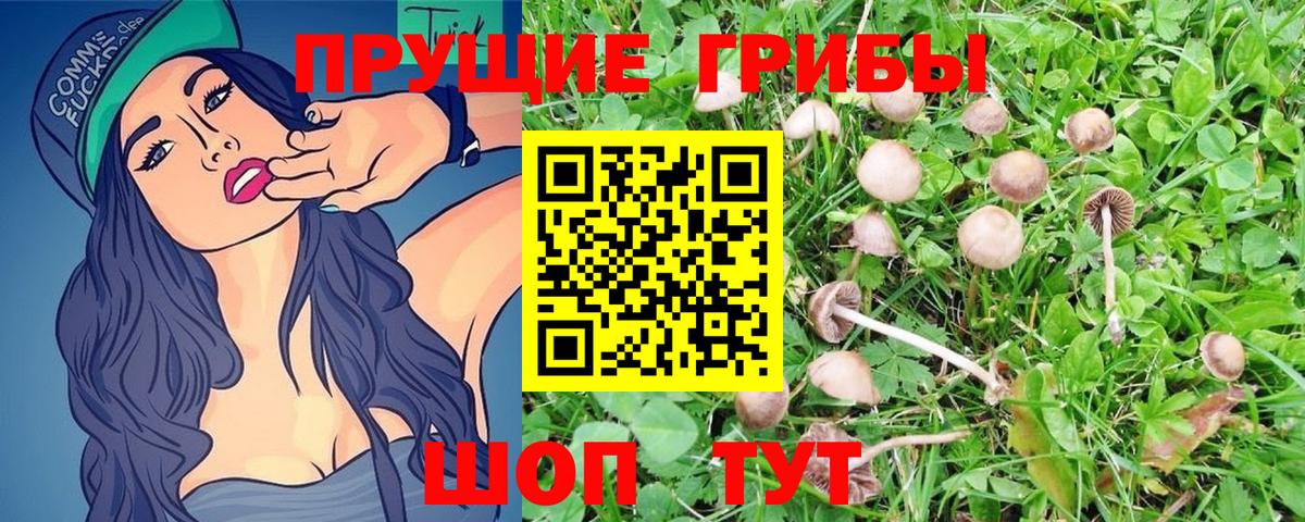 Галлюциногенные грибы Magic Shrooms Фролово