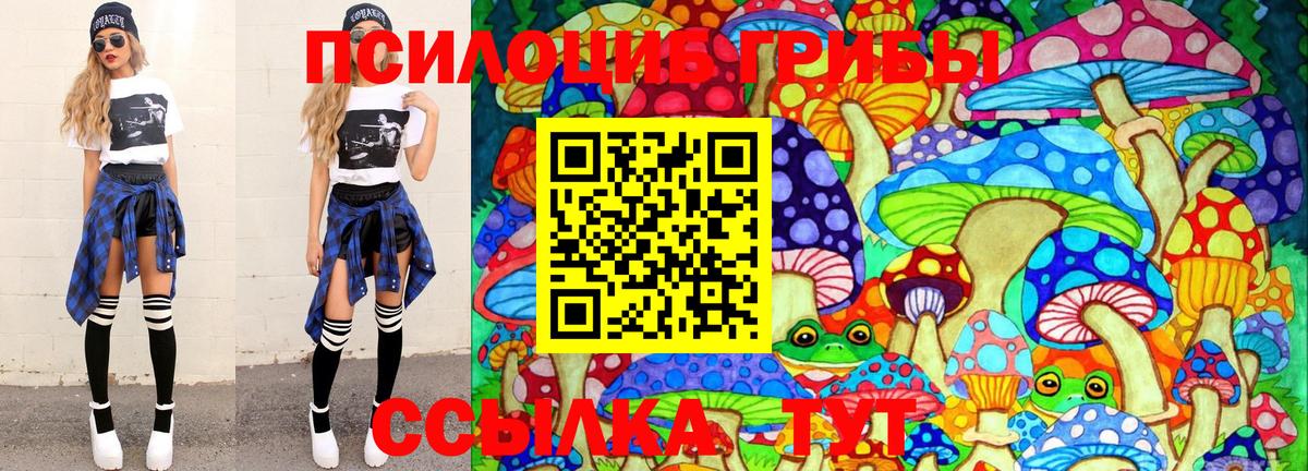 Галлюциногенные грибы ЛСД  Галлюциногенные грибы ЛСД  Фролово  Вход с VPN 